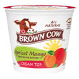 Brown Cow Cream Top  Apricot Mango